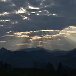 Brittenberg Alpaka * Schwarzenberg im Bregenzerwald