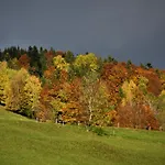 Brittenberg Alpaka * Schwarzenberg im Bregenzerwald