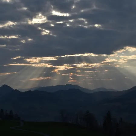 Brittenberg Alpaka * Schwarzenberg im Bregenzerwald