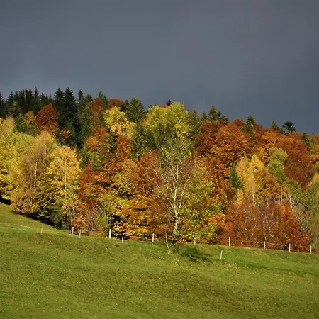 Brittenberg Alpaka * Schwarzenberg im Bregenzerwald