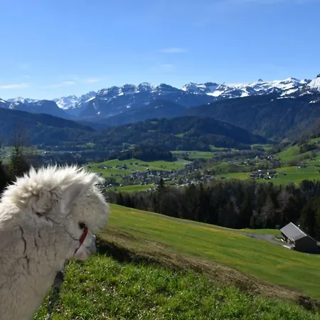 Brittenberg Alpaka *